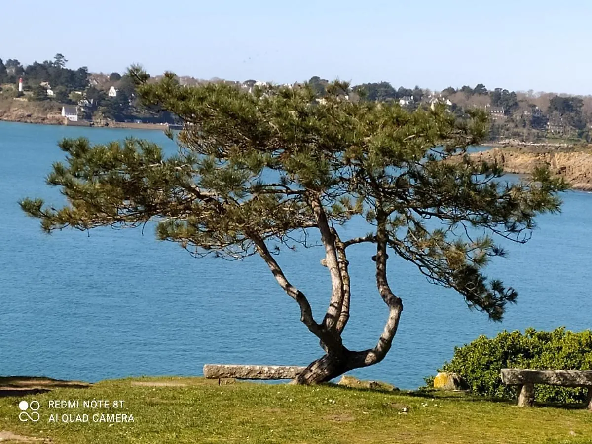 Au Coeur Des Rias, Studio Proche De La Mer Moelan-sur-Mer Bed & Breakfast